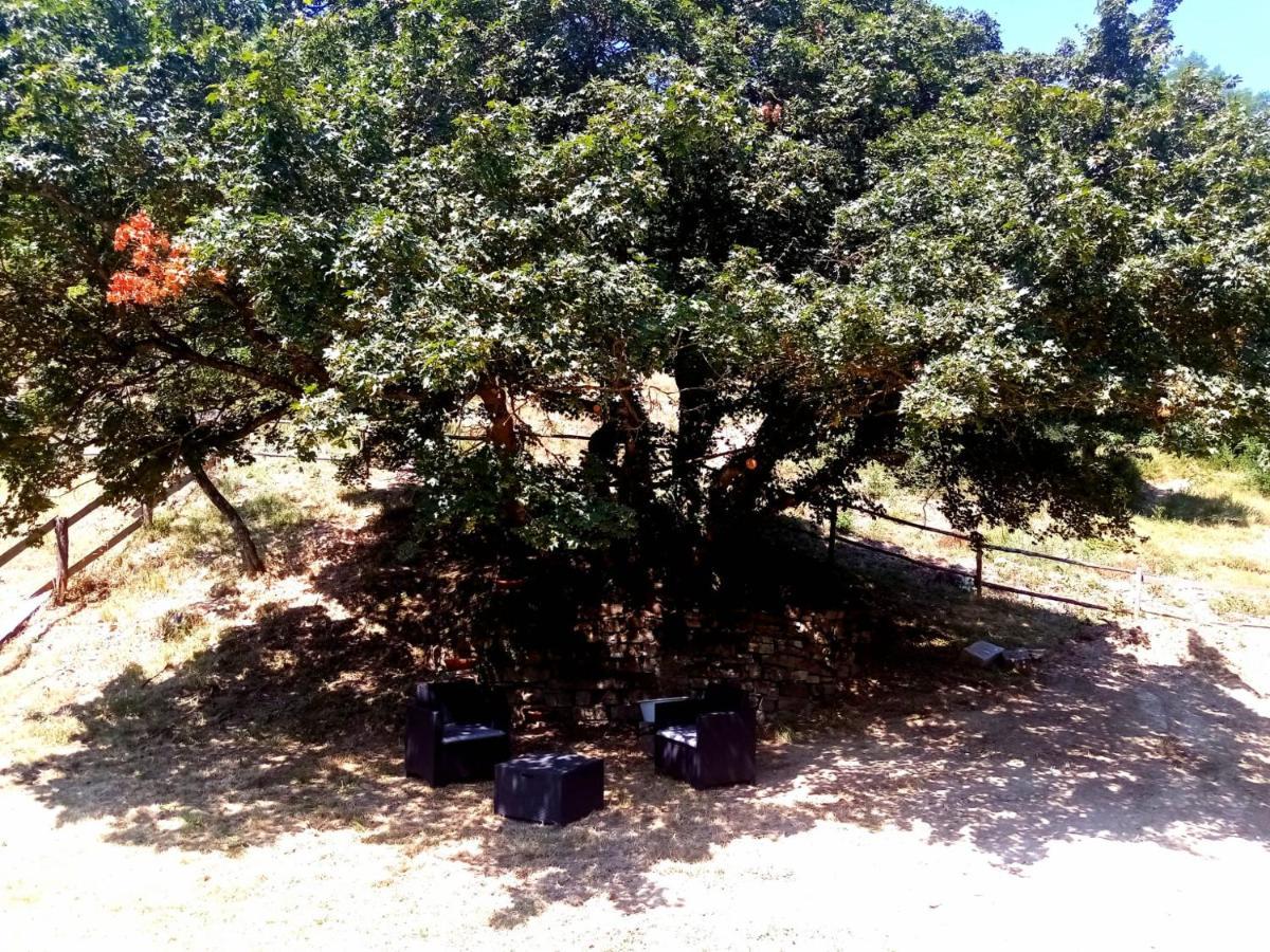 Locanda Di Alberi Borgo San Lorenzo Exterior photo